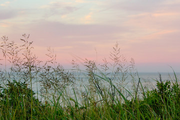 beach grass colorful sunset