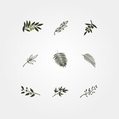 Set of green vector olive branch logos.