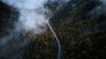 street from above trough a misty forest at autumn, aerial view flying through the clouds with fog and trees