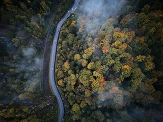 Foto auf Acrylglas Luftbild street from above trough a misty forest at autumn, aerial view flying through the clouds with fog and trees