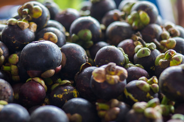 Mangosteen queen of fruit