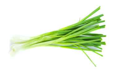 green onion isolated on the white background