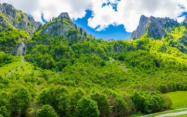 Scenic forest and meadows among the high snow-capped mountains.