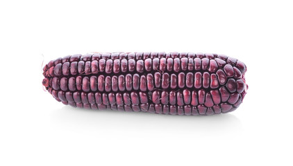 purple corn isolated on a white background