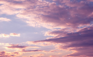 Fototapeta na wymiar Colorful sunset. Toned image. Beauty of nature