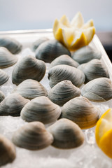 An assortment of raw clams on ice garnished with lemon