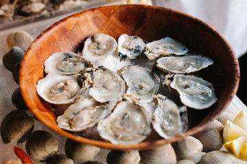 A dozen of raw oysters on a wooden plate