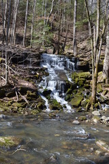 Waterfall in the woods