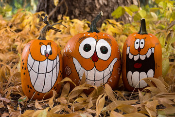 Fototapeta premium Three smiling and laughing pumpkins with painted faces that have oval eyes and big teeth. The pumpkins are sitting in dried leaves.