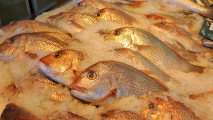 Frozen fish at Seafood markets