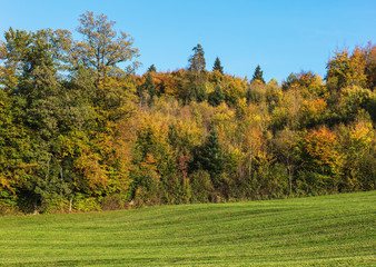 Countryside view in Switzerland in autumn. The picture was taken in the beginning of October, near the village of Ringlikon located on Mt. Uetliberg in the Swiss canton of Zurich.