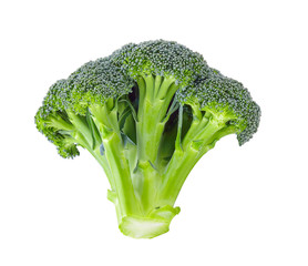 Broccoli on white background