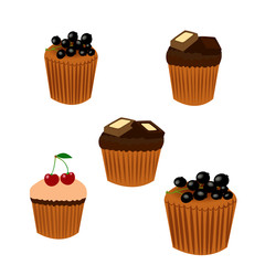 Dessert. Cupcakes with chocolate. Fruit cupcakes with berries.  Vector illustration.