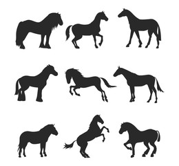 Horse pony stallion isolated black silhouette different breeds color farm equestrian animal characters vector illustration.