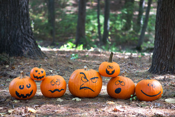 Halloween pumpkins in the woods - 176469858