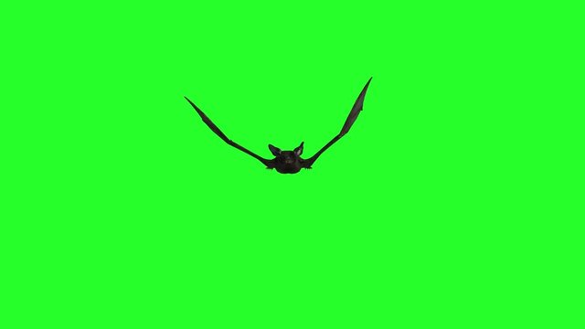 bat are flying on a green background of Halloween render 3D