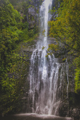 Obraz premium Wailua Falls
