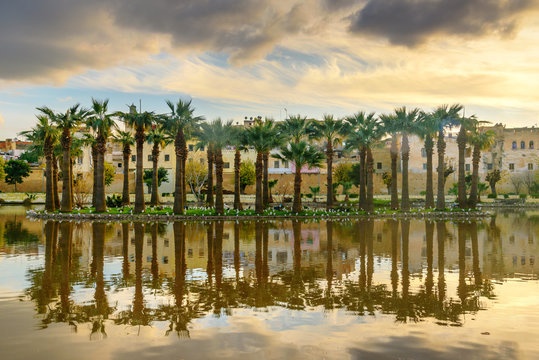 Jardin Jnan Sbil, Royal Garden in Fes. Morroco