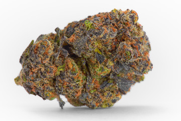 Close up of prescription medical marijuana strain flower Gelato isolated on white background