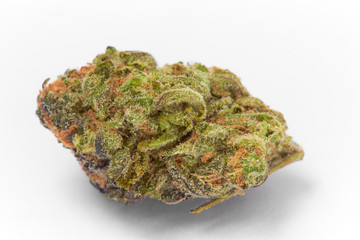 Close up of prescription medical marijuana strain flower Gelato isolated on white background