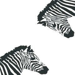  illustration abstract zebra