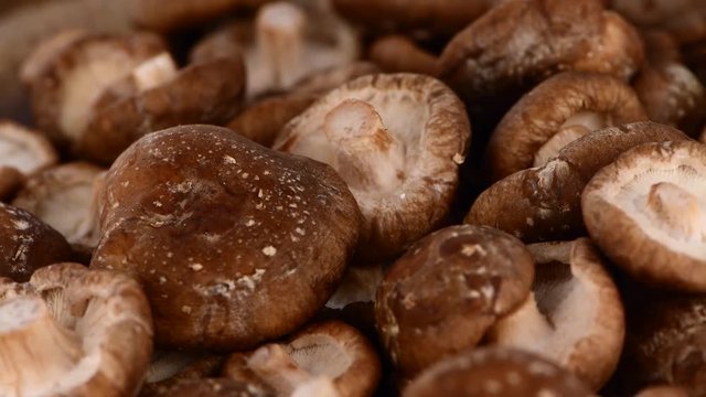 Raw Shiitake mushrooms seamless loopable ( 4K UHD)