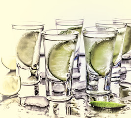 Selective focus. Gin tonic with lime wedges