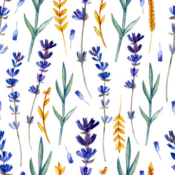 Watercolor blue lavender wild flower, spikelet isolated on white, seamless pattern, decorative background, hand drawn painting texture for design package cosmetic, greeting card, wedding invitation