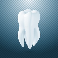 Illustration of Vector Tooth Icon. Realistic Teeth Isolated on Transparent Overlay Background
