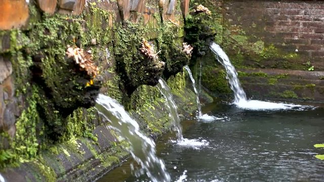 The streams of water are flowing into the pool of Sebatu Gunung Kawi holy springs, Bali, Indonesia