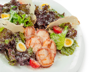 shrimp salad