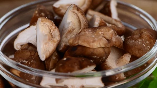 Rotating Shiitake mushrooms (seamless loopable; 4K)