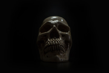 A Still life of skull in to the  dark background.