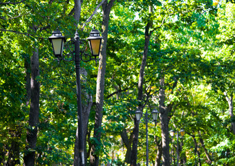 Street lamps in the park
