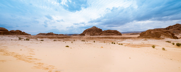 Panorama du désert de sable du Sinaï, Egypte, Afrique