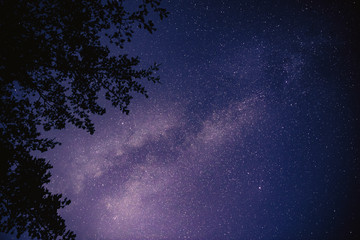 ciel nocturne bleu avec étoile et fond de nature romantique voie lactée