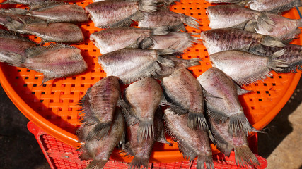 Dried Salted Skin Gourami on Orange Plastic Tray