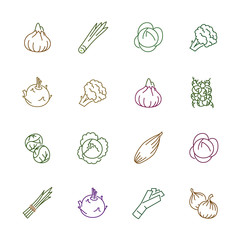 Vegetables icons - Onion, cabbage and cauliflower