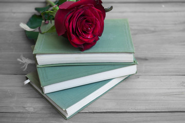 Red roses on books - 176482227