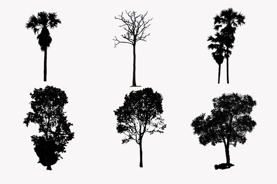 illustration with tree silhouette set isolated on white background .