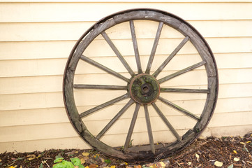 Wagon wheel green centre