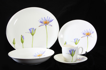 Antique crockery set , set of tableware