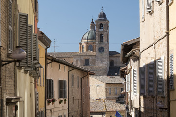 Urbino (Italy)