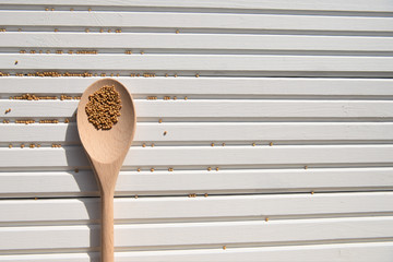 photography image of mustard seeds on new natural wooden spoon in the sunshine on white wood background taken on South coast England UK