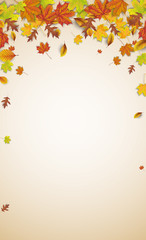 Autumn Foliage Brown Background Legal Upright Shadows