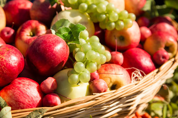 Naklejka na ściany i meble ripe apples with grapes in a basket