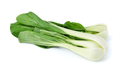 Bok choy (chinese cabbage) isolated on white