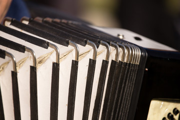 musician plays the old accordion