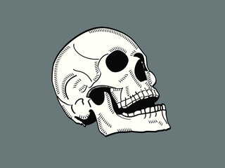 Tête de mort vue 3/4