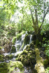 Dobel Waterfall